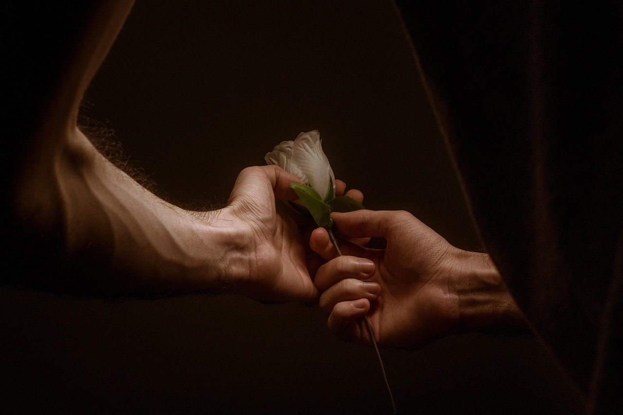 hands, love, rose, together, couple, lovers, nature, flower background, romantic, romance, affection, beautiful flowers, flower, touch, passion, rose flower, flower wallpaper, dark, happyvalentine's