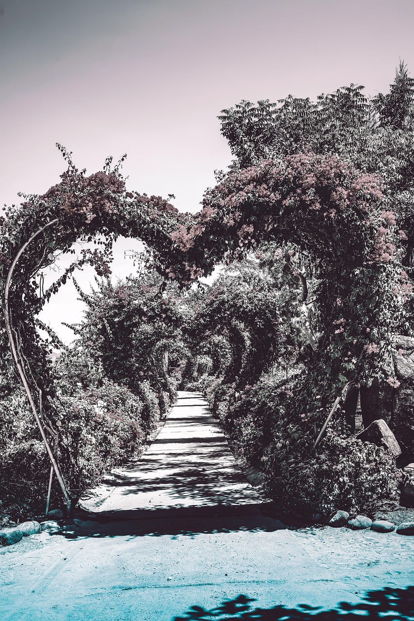 nature, heart, romantic, thank you, spring, gratitude, romance, decoration, leaf, child, fantasy, confidence, green, heart, gratitude, gratitude, gratitude, gratitude, gratitude, romance, romance