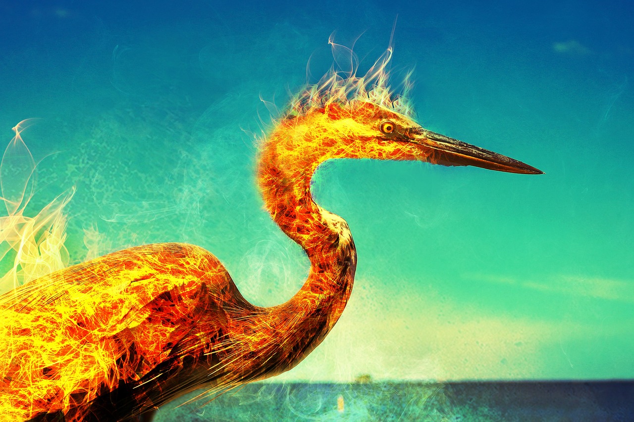 phoenix, flames, heron, nature, bird, mythology